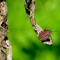 из вчерашней съемки 3 :: Александр Прокудин из вчерашней съемки 3 :: Александр Прокудин