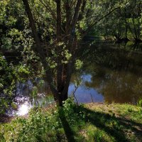 И снова тепло :: Андрей Лукьянов И снова тепло :: Андрей Лукьянов