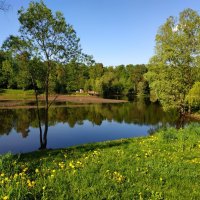 И снова тепло :: Андрей Лукьянов