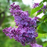 Весенняя Москва. Воробьевы горы. :: Наташа *****