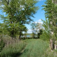 Природа  Крыма :: Валентин Семчишин