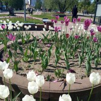 Интерьер моего города :: Елена Семигина