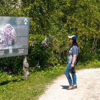 Мы не виноваты, если в Лаго-Наках  вас съест рысь :: Игорь Сикорский