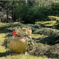 ********** :: Валерия Комова