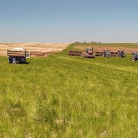 перерыв на обед :: Александр Никишков