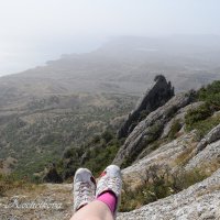 Природа Крыма :: Amazing Cosmea