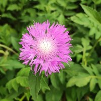 ,,, :: Сергей Тимоновский