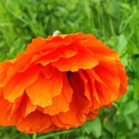 ,,, :: Сергей Тимоновский ,,, :: Сергей Тимоновский