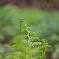 ___ :: Yuriy V ___ :: Yuriy V