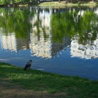 На уток ругается. :: Лютый Дровосек