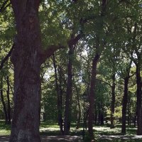 *** :: Валентина Береснева *** :: Валентина Береснева