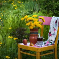 Натюрморт//*Майские денёчки* :: Анатолий Нецепляев