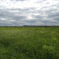 Вид с острова на город :: Anna Ivanova