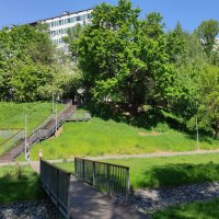 Утро в парке :: Игорь Ч.