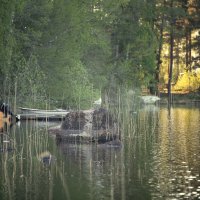 Про целостность и детали мира вокруг Вэллена :: liudmila drake