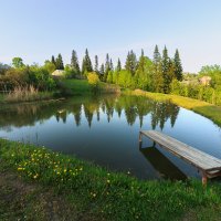 Рыбий частный двор :: Сергей Винтовкин Рыбий частный двор :: Сергей Винтовкин