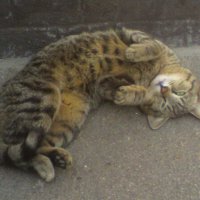 Старое фото... :: Наталья 