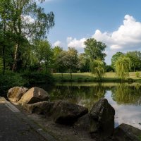 Пруд, в парке... :: Николай Гирш