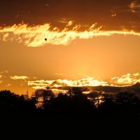 Солнце скрылось и мне пора домой ... :: Владимир Шошин Солнце скрылось и мне пора домой ... :: Владимир Шошин