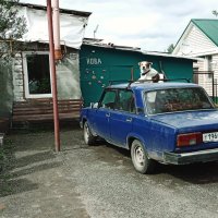 С ветерком.. :: Сергей 