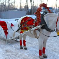 Сани поданы.. :: Василий 