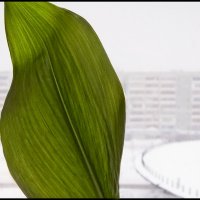 Зима :: **** vedin