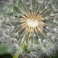 * :: Nikolai 888 * :: Nikolai 888