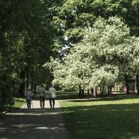 Мой город - Парк Кирова :: Владимир Максимов