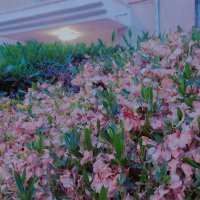 13  ОПЕН (53) :: OPEN WAYS ALL