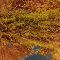 13  ОПЕН (56) :: OPEN WAYS ALL