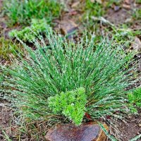 Армения. Озеро Севан. Полуостров Севан. :: Михаил Свиденцов