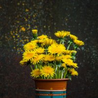 Крынка с одуванчиками. :: Анатолий Нецепляев