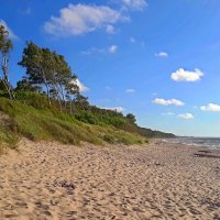 Королевский бор и море :: Сергей Карачин Королевский бор и море :: Сергей Карачин