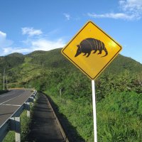 Колумбийский дорожный знак. :: unix (Илья Утропов)