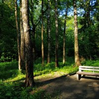 Для посиделок :: Андрей Лукьянов Для посиделок :: Андрей Лукьянов