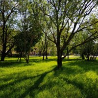 Самый теплый день в этом году :: Андрей Лукьянов