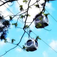 32 метра над уровнем Москвы. :: Татьяна Помогалова 32 метра над уровнем Москвы. :: Татьяна Помогалова