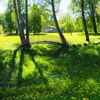 Ажурный мостик (репортаж из поездок по области) :: Милешкин Владимир Алексеевич Ажурный мостик (репортаж из поездок по области) :: Милешкин Владимир Алексеевич