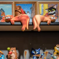 Котиков много не бывает (3) :: Игорь Викторов