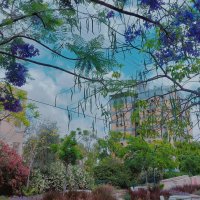 13  ОПЕН (61) :: OPEN WAYS ALL