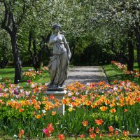 Москва. Парк Коломенское. :: Наташа *****