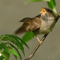 !!!! :: kolyeretka !!!! :: kolyeretka