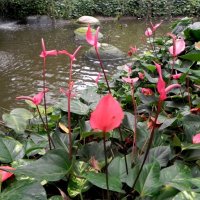 " :: Светлана Хращевская