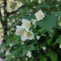 ,,, :: Сергей Тимоновский ,,, :: Сергей Тимоновский