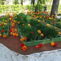 Огород Летнего сада :: Anna-Sabina Anna-Sabina Огород Летнего сада :: Anna-Sabina Anna-Sabina