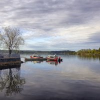 утро..... :: Ольга Cоломатина