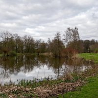 На прудах... :: Николай Гирш