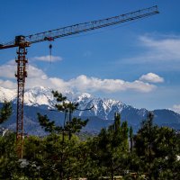 На фоне гор :: Светлана SvetNika17