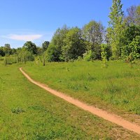 Тропинка :: Евгений Корьевщиков