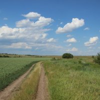 Мои дороги. :: Виктор 